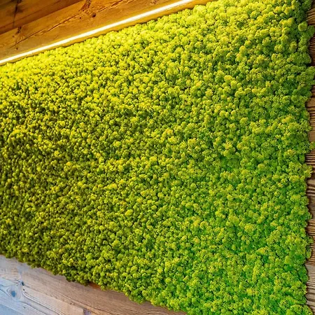 Alm-chalets-samerberg *