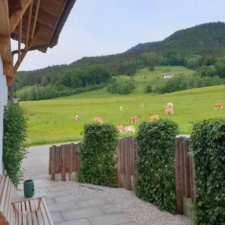 Nyaraló Alm-chalets-samerberg