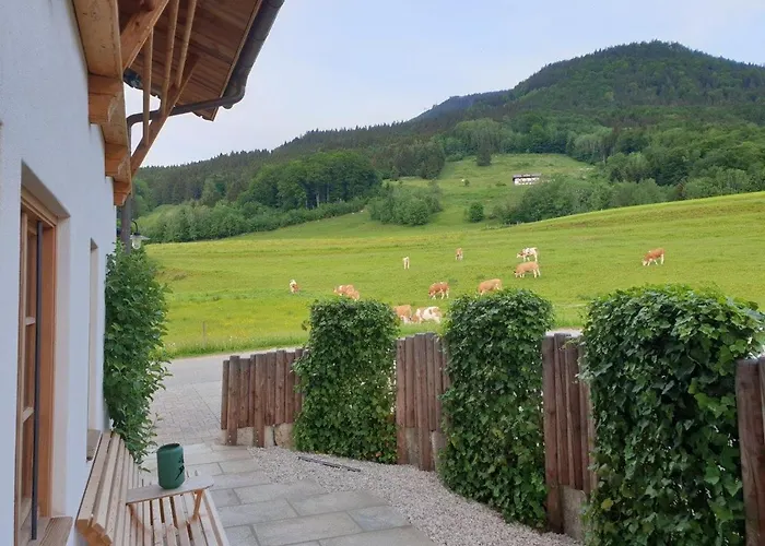 Vakantiehuis Alm-chalets-samerberg
